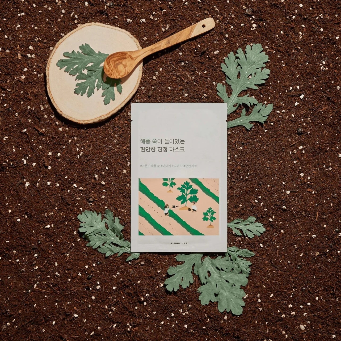 ROUND LAB Mugwort Calming Mask